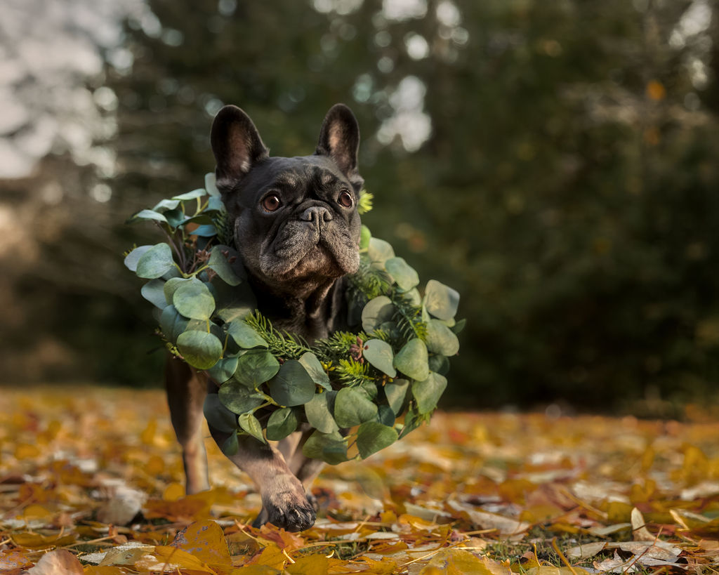 Fast-paced moment captured mid-run