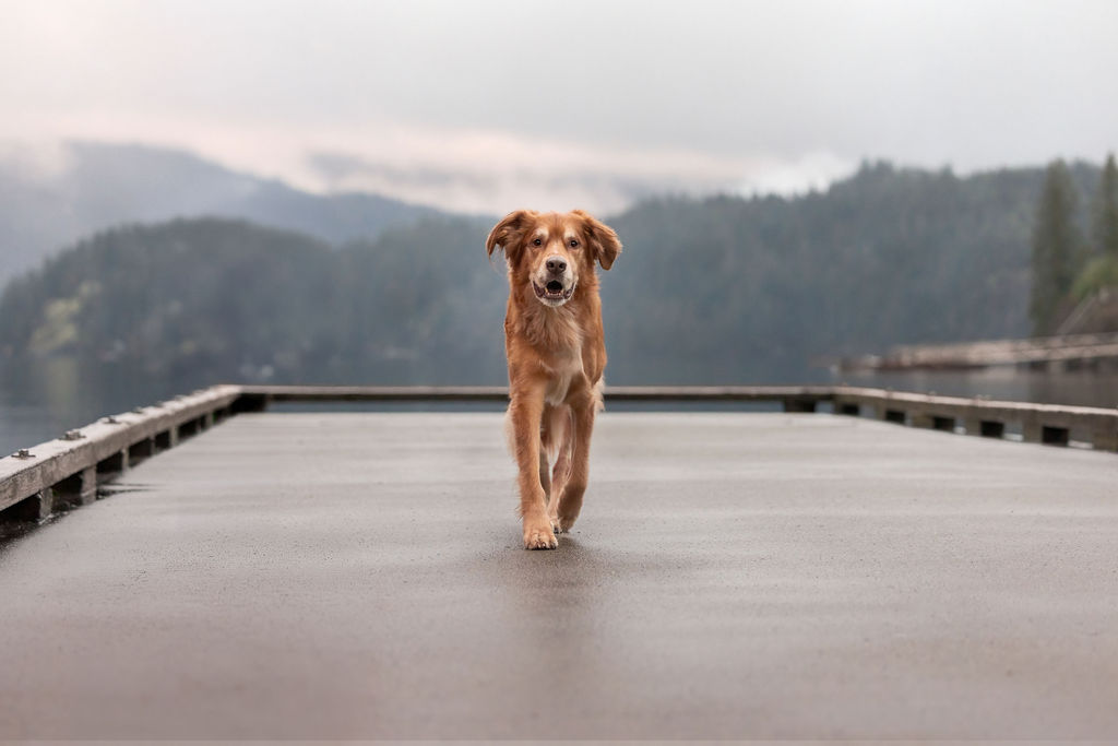 Outdoor portrait with mountain backdrop