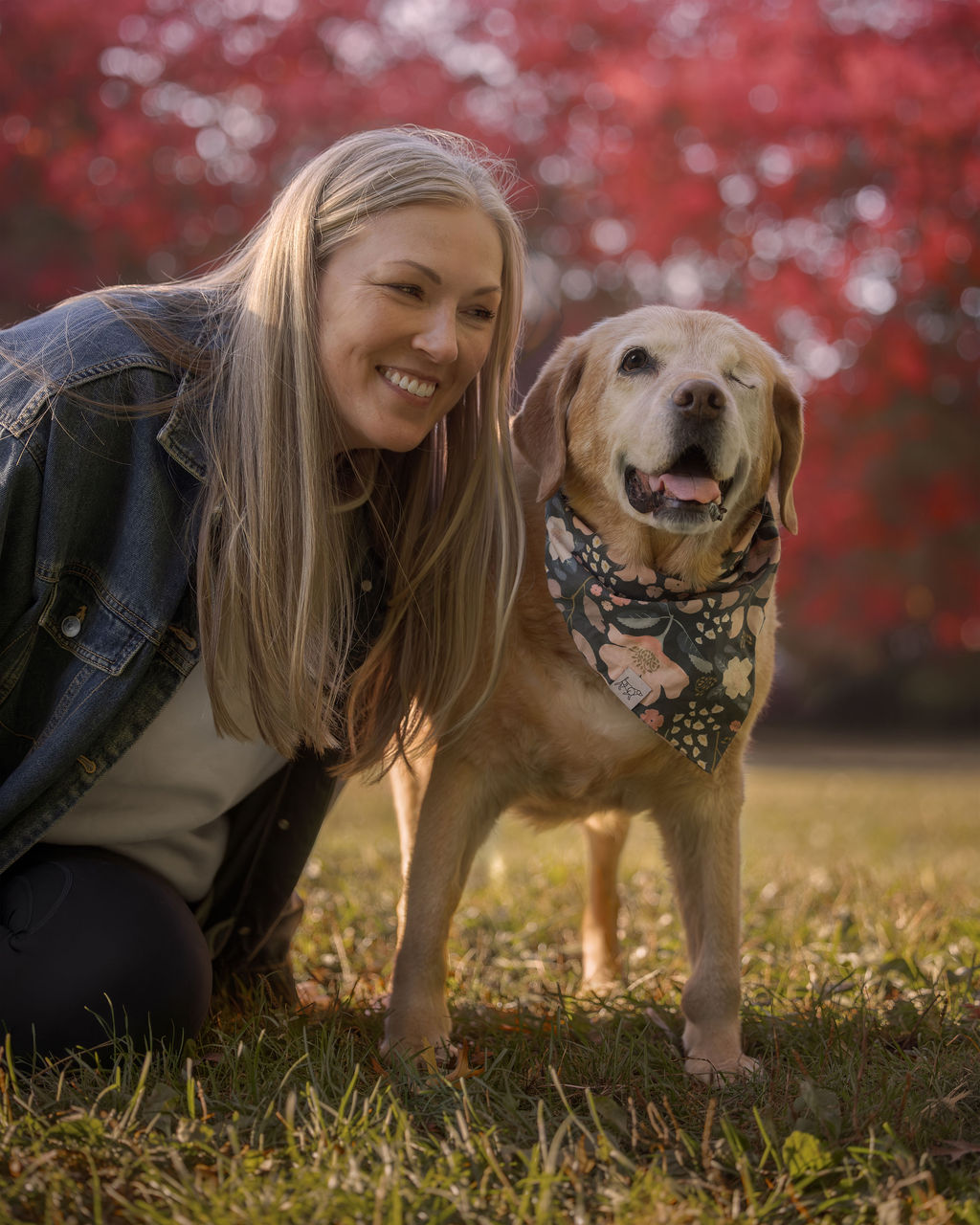 Dog and owner sharing a candid moment