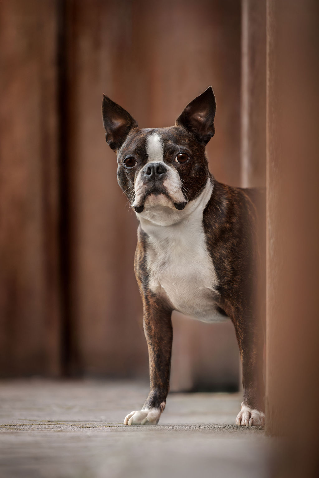 Woman hugging her golden retriever in autumn forest